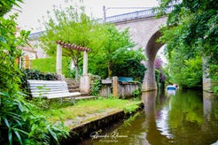 dsc_4879-standard.jpg