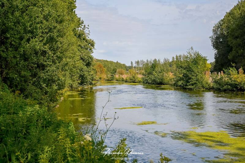 dsc_4947-standard.jpg