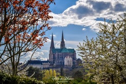 dsc_4995-standard.jpg