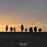 dsc_4996-standard.jpg