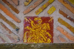 dsc_5004-standard.jpg