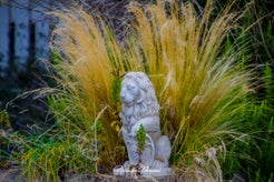 dsc_5016-standard.jpg