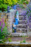 dsc_5020-standard.jpg