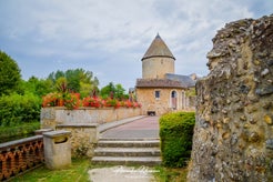 dsc_5024-standard.jpg