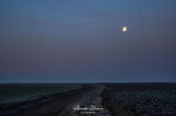 dsc_5108-standard-4z2mn7.jpg