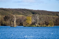 dsc_5328-standard.jpg