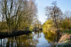 dsc_5339-standard.jpg