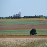 dsc_5684-2-standard.jpg
