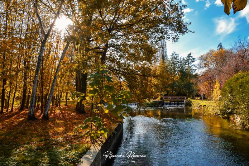 dsc_6051-standard.jpg