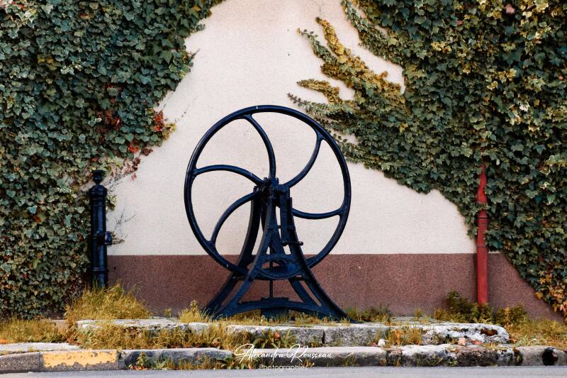 dsc_6077-standard.jpg