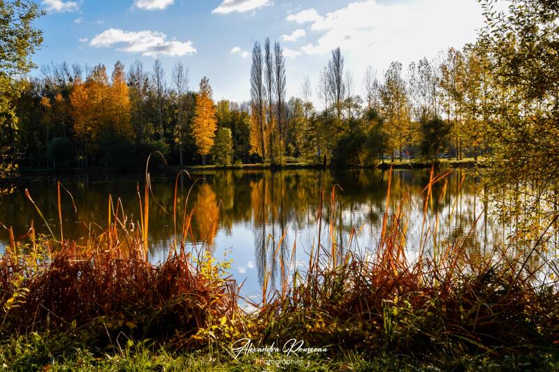 dsc_6126-standard.jpg