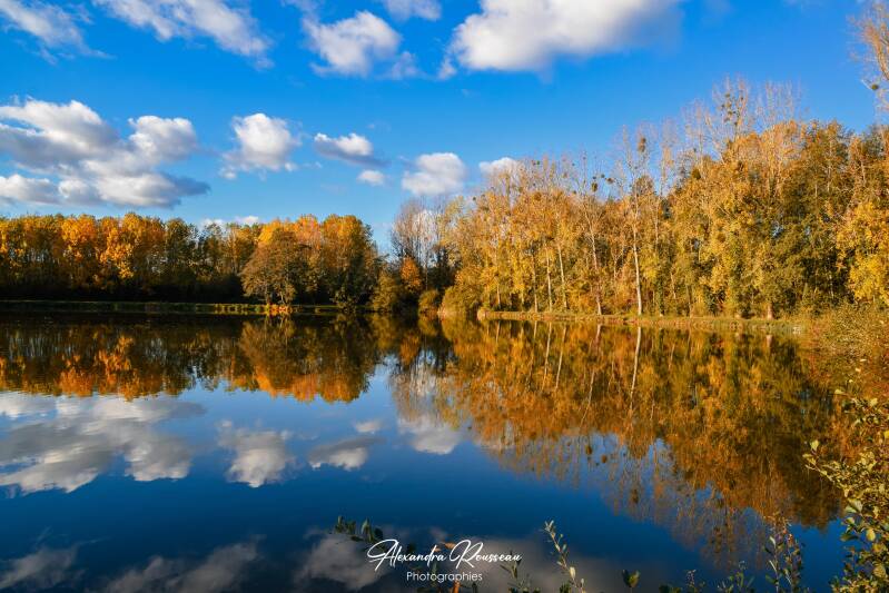 dsc_6137-standard.jpg