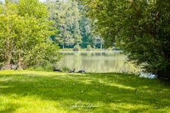 dsc_6664-standard-twgwds.jpg