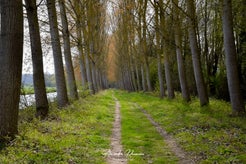 dsc_6670-standard.jpg