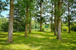 dsc_6671-standard.jpg