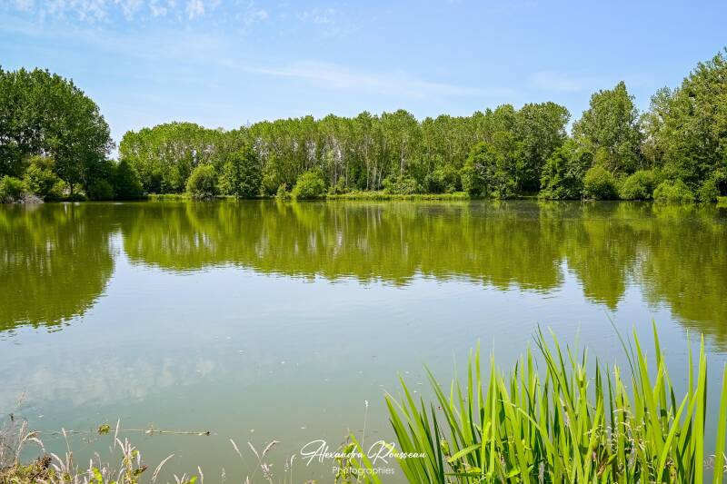 dsc_6708-standard-3s7l09.jpg