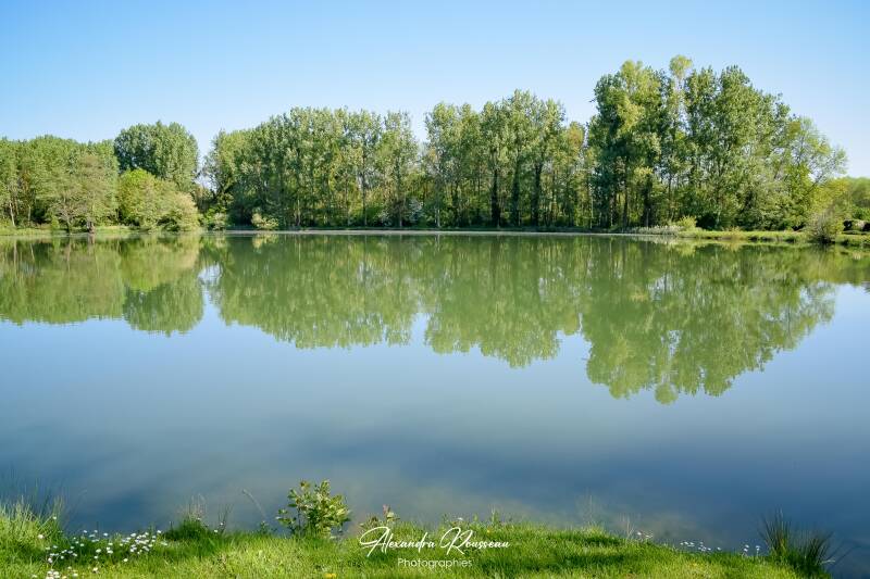 dsc_6796-standard.jpg