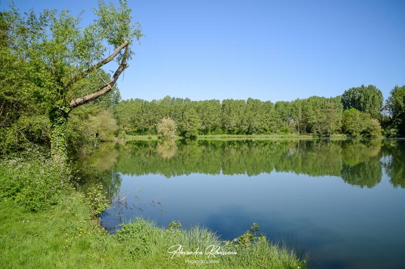 dsc_6797-standard.jpg