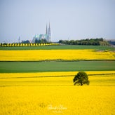 dsc_6844-2-standard.jpg