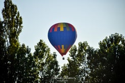 dsc_6853-standard.jpg