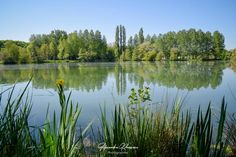 dsc_6865-standard.jpg