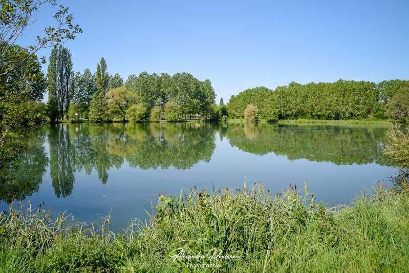 dsc_6878-standard.jpg