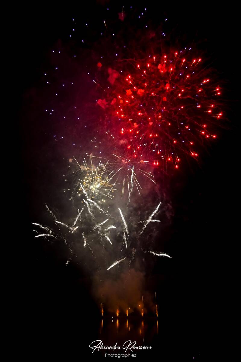 dsc_6895-standard.jpg