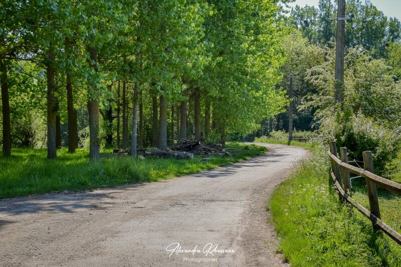 dsc_6923-standard.jpg