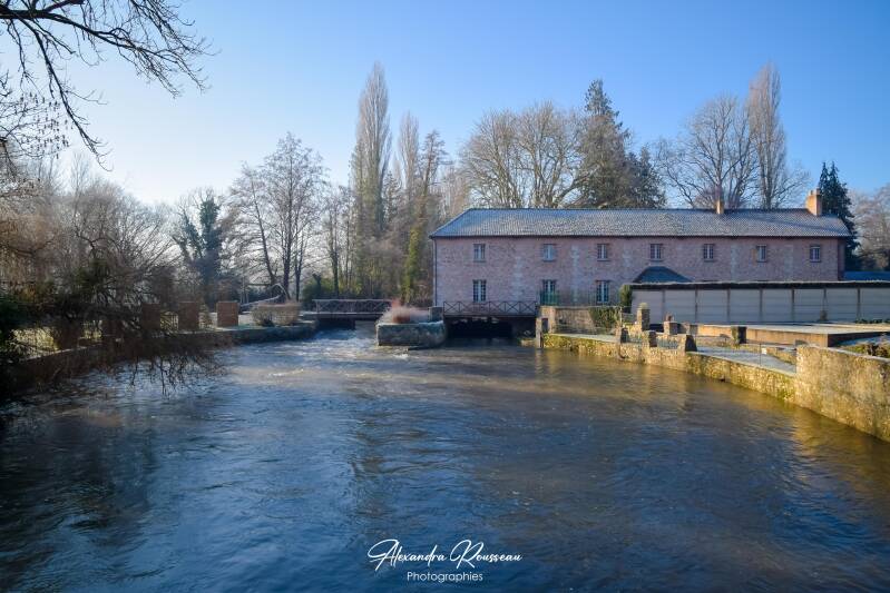 dsc_7298-standard-cfm7h4.jpg