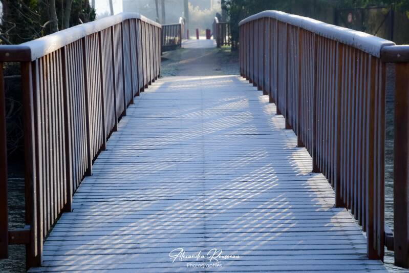 dsc_7307-standard-g2r2cz.jpg