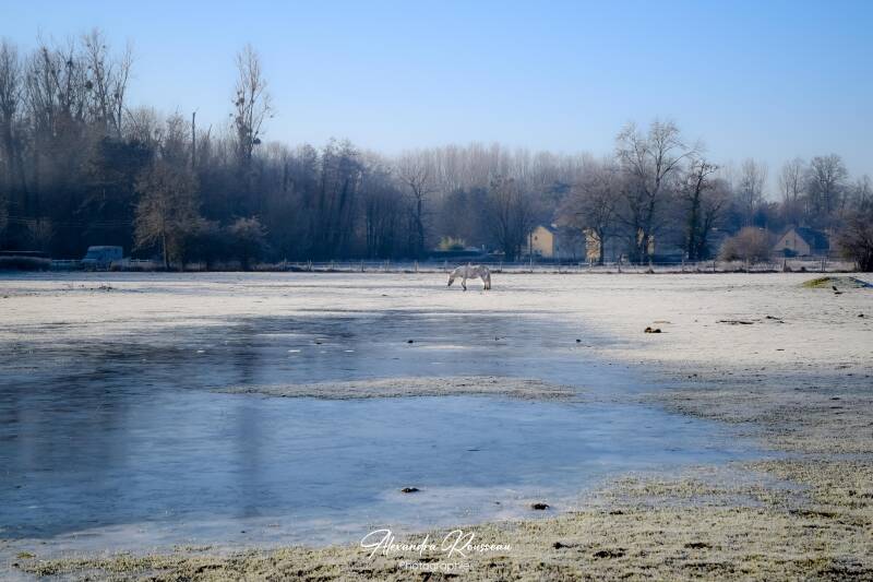 dsc_7322-standard.jpg