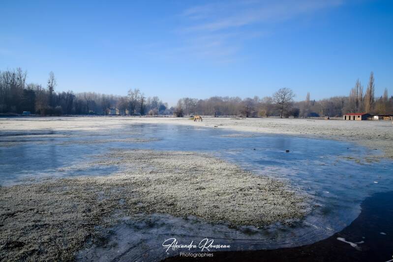 dsc_7344-standard.jpg