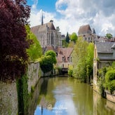 dsc_7356-standard.jpg