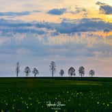 dsc_7412-standard.jpg