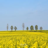 dsc_7614-standard.jpg