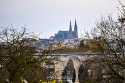 dsc_8156-standard.jpg