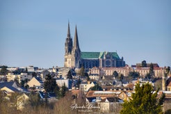 dsc_8208-01-standard.jpg