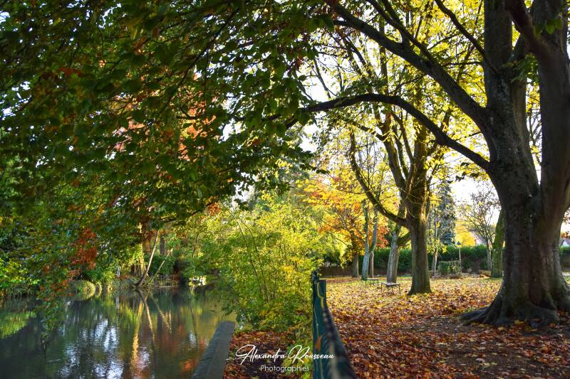 dsc_8371-standard.jpg