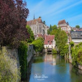 dsc_8411-standard.jpg