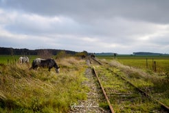 dsc_8455-standard.jpg