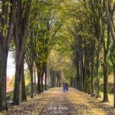 dsc_8586-standard.jpg