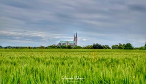 dsc_9253-01-standard.jpg