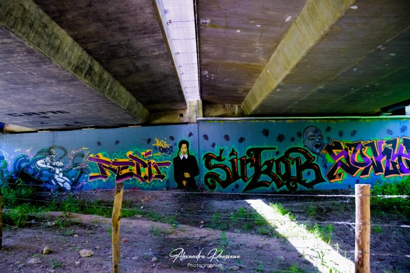 dsc_9892-standard.jpg
