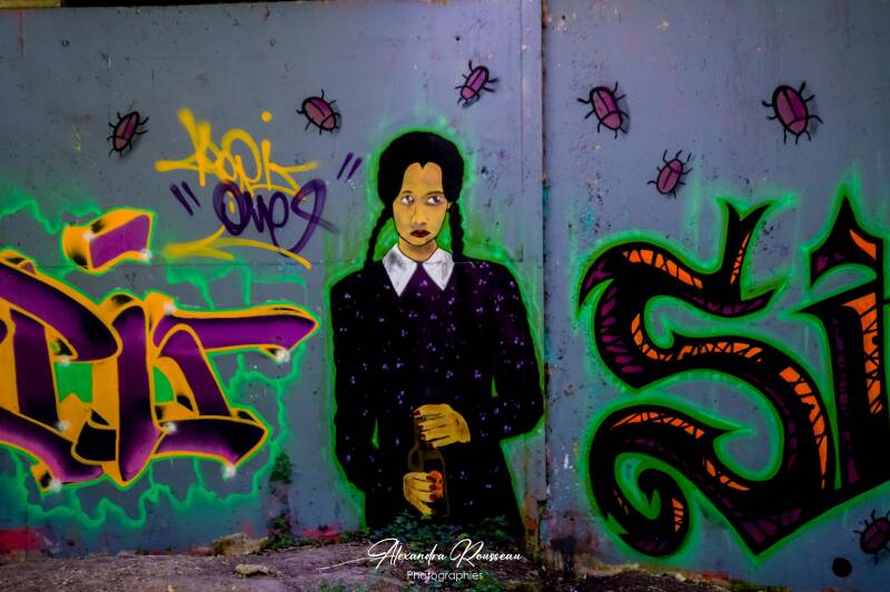 dsc_9894-standard.jpg