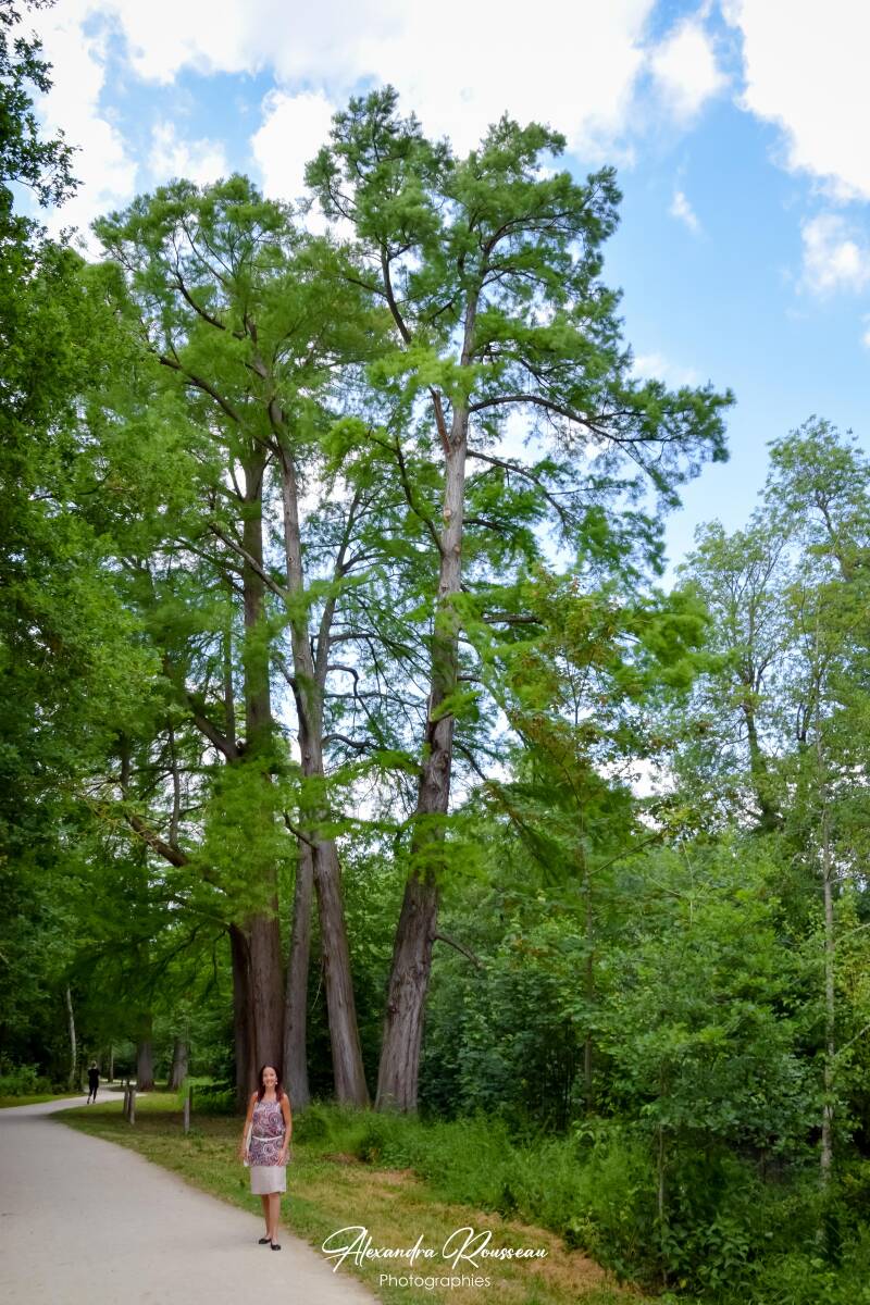 dsc_9945-standard.jpg