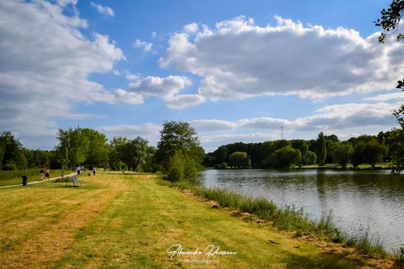 dsc_9984-standard.jpg