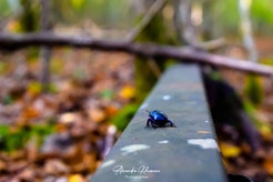 dsc_9334.jpg