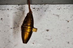 dsc_5845-01.jpg