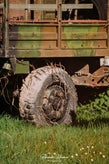 dsc_8100-1.jpg