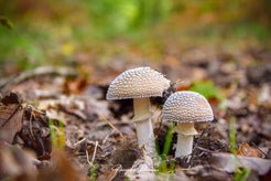 dsc_8248-01.jpg